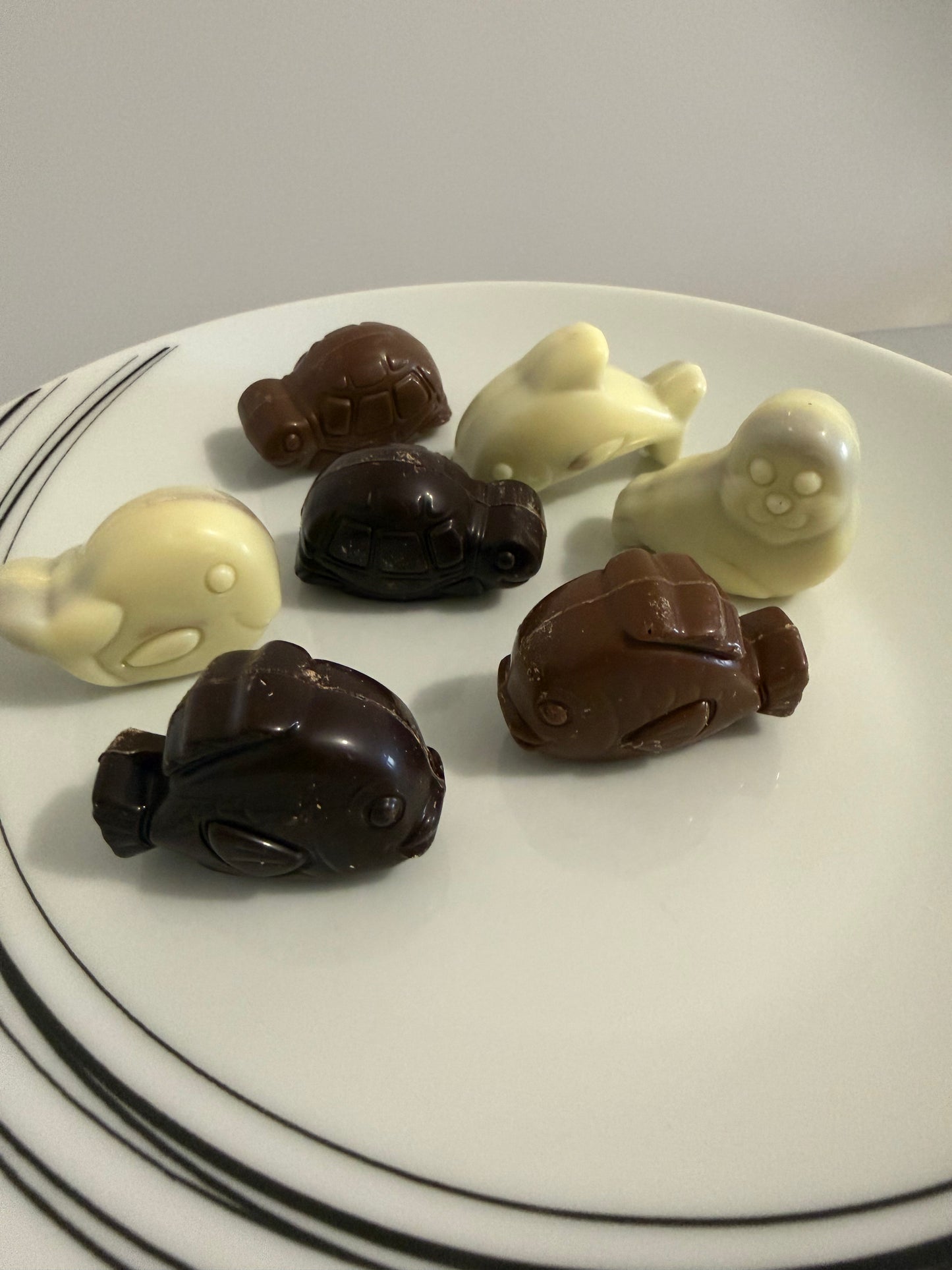 Chocolat belge noir, blanc, noir fourré praliné-  100 g (x7)