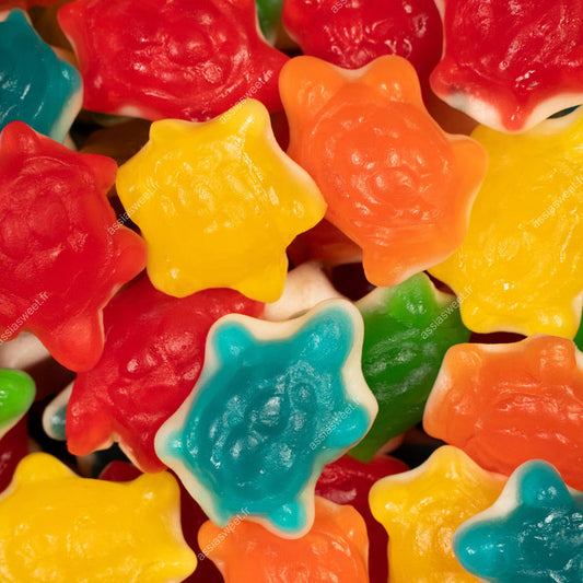 Tortue goût fruité - 100 g