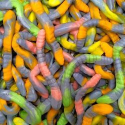 Serpent bicolore - 100 g